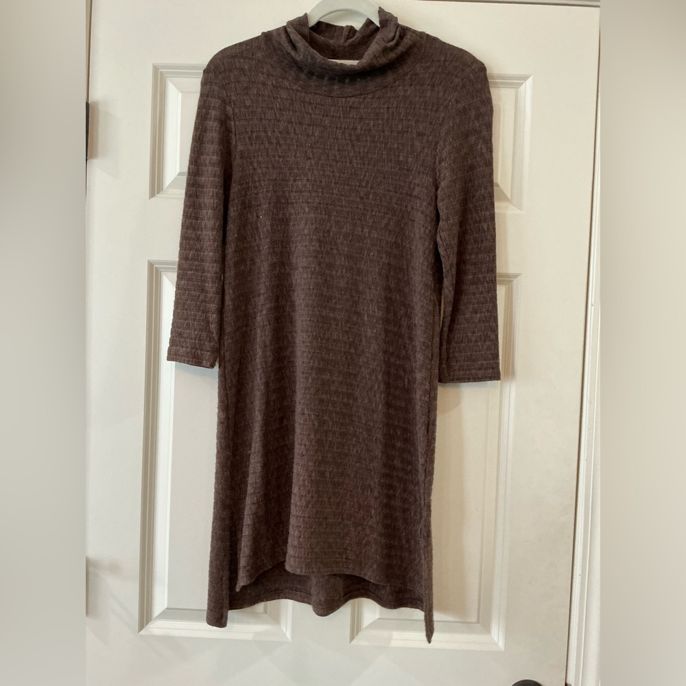 Brown Turtleneck Long Sleeve Dress